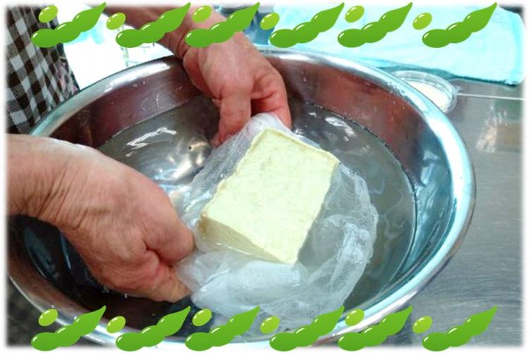 【5/7開催】枝まめ豆腐作り体験｜焼津イベント情報