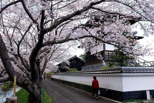 【4/11開催】謡曲鑑賞会 4月〈田中城下屋敷〉｜藤枝イベント情報